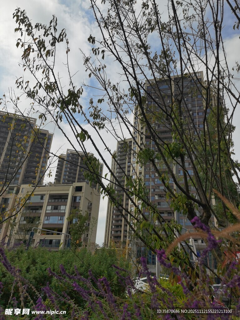 城市中繁茂的花草與高樓