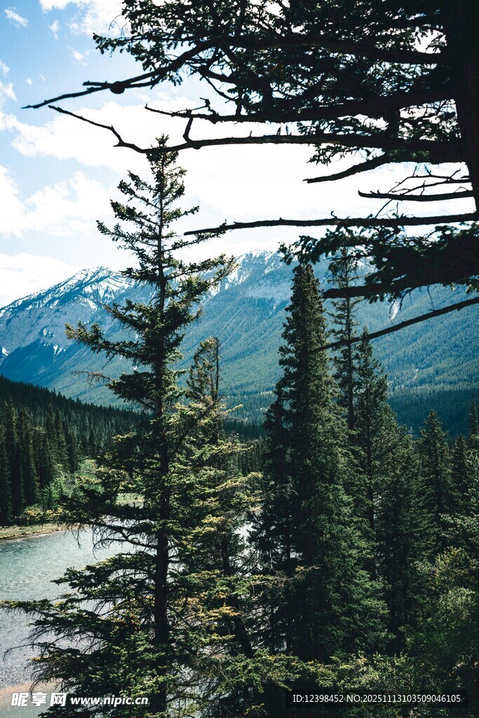 山林湖畔的靜謐自然景觀