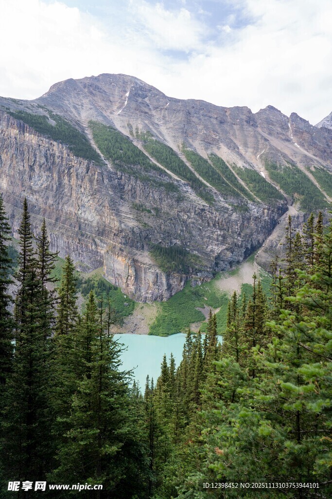 山間翠湖與茂密森林景觀