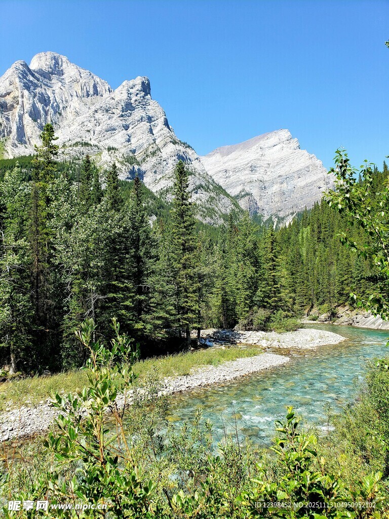 山間溪流旁的蔥郁森林與山巒