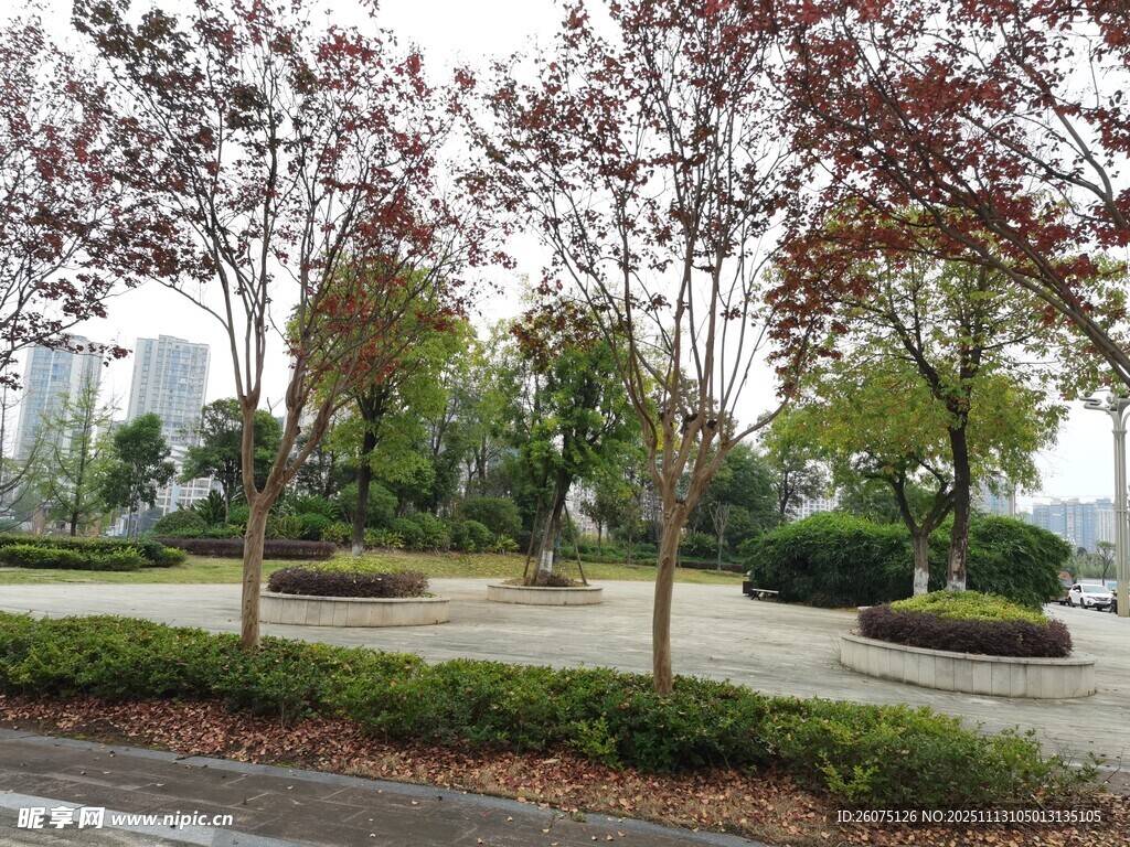 城市公園中的樹(shù)木與綠地