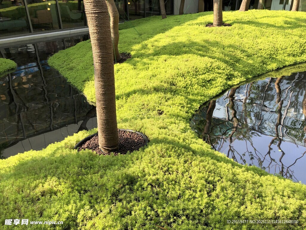 陽光下的草地與池塘景觀