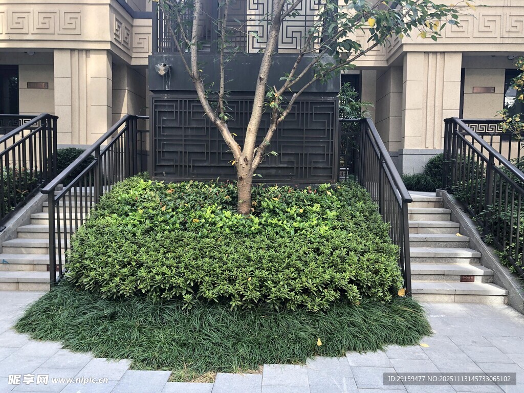 庭院綠植與臺階景觀