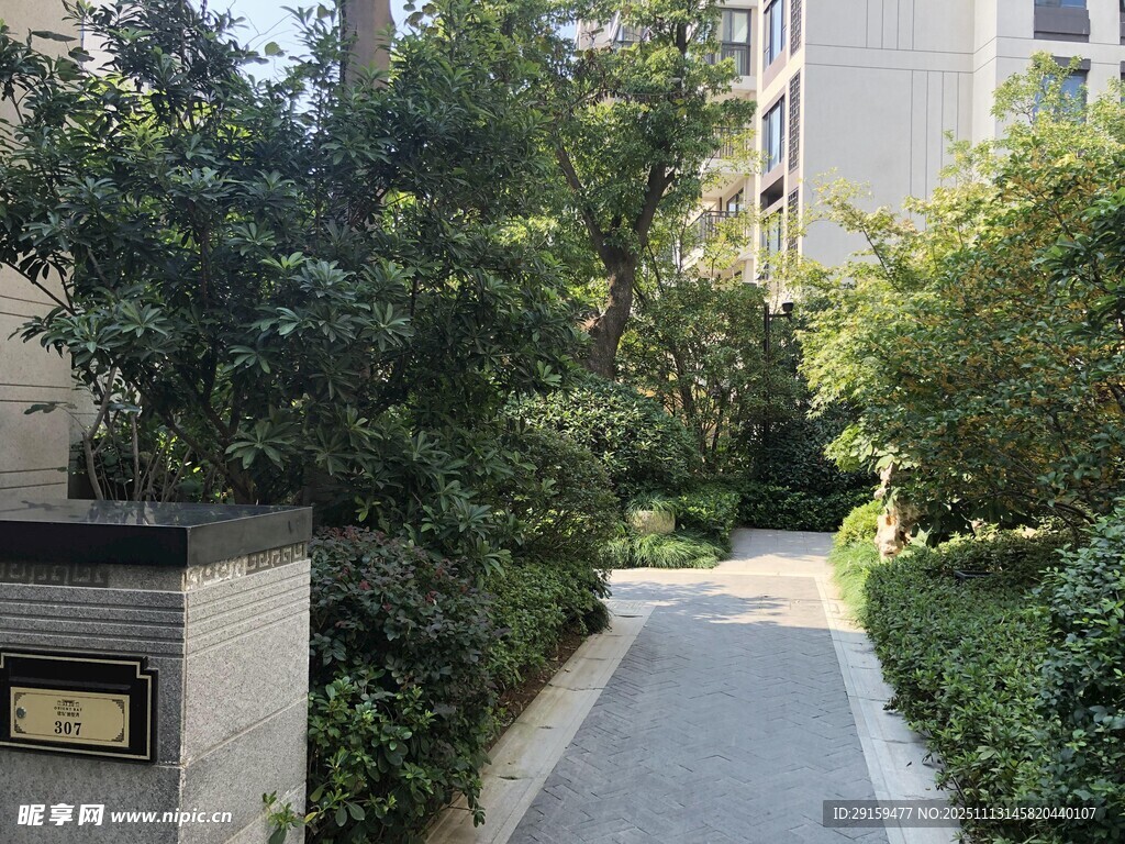 小區(qū)幽靜綠植環(huán)繞小徑