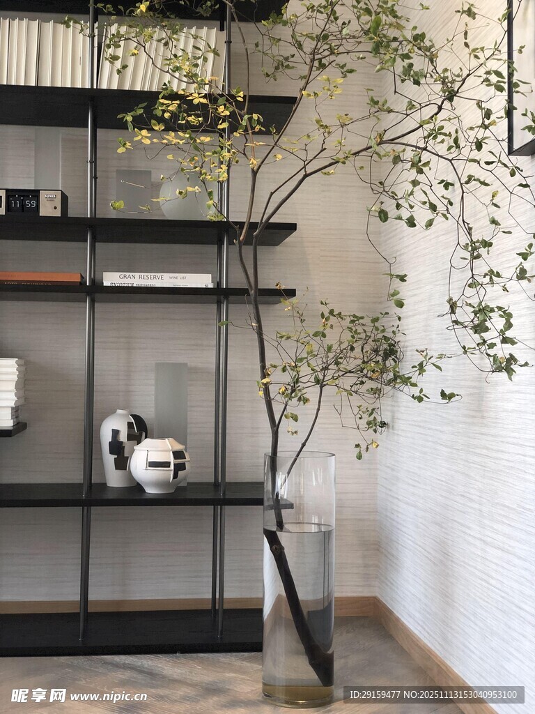 室內(nèi)簡(jiǎn)約綠植裝飾架場(chǎng)景