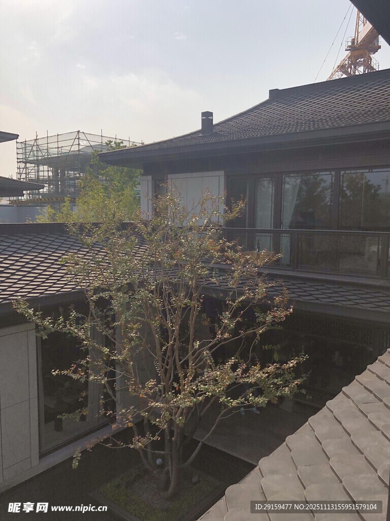 中式庭院屋頂景致