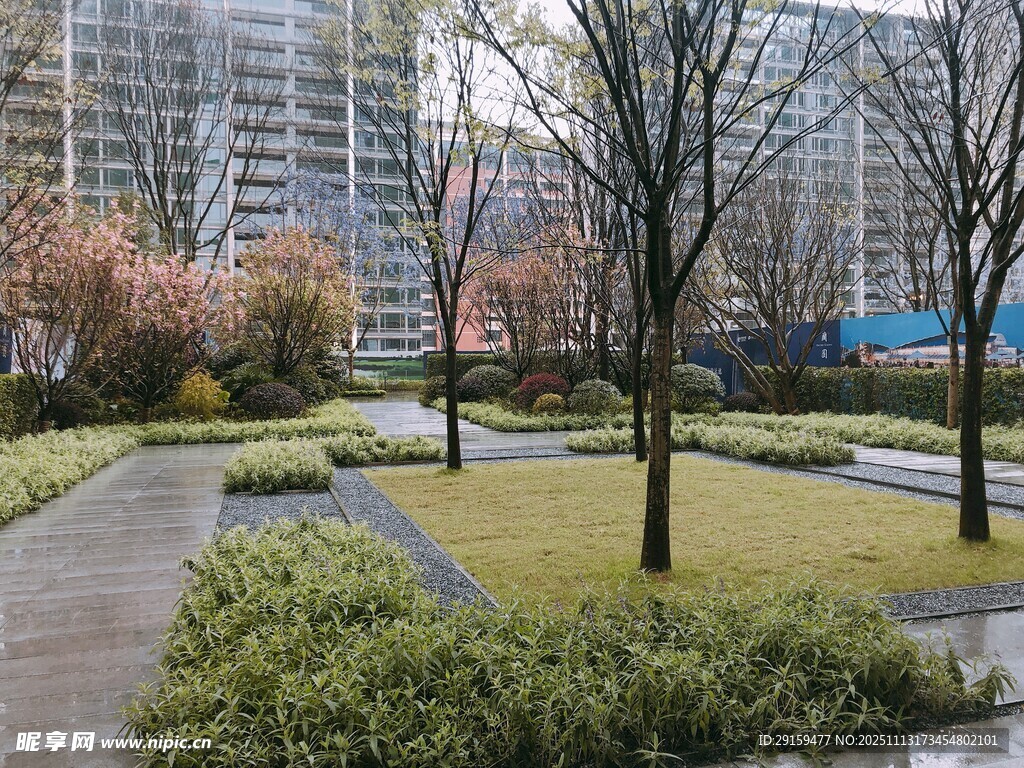 城市中的靜謐綠化景觀