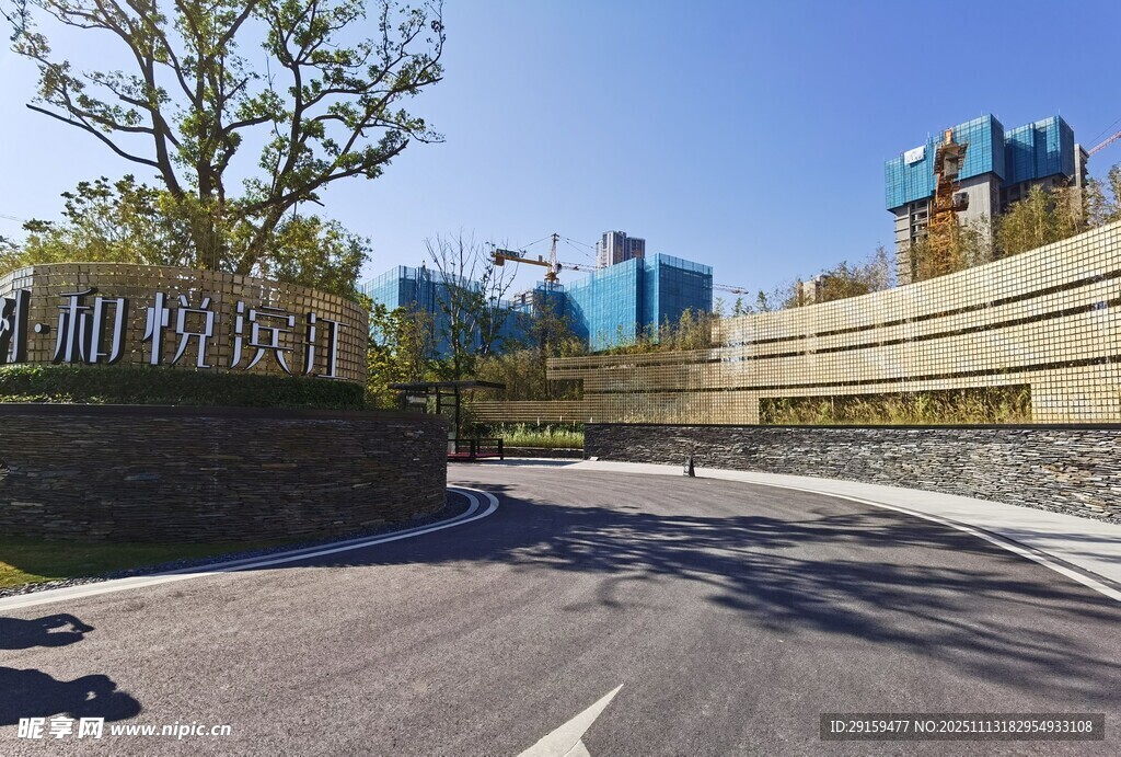 城市道路旁的綠樹(shù)與建筑