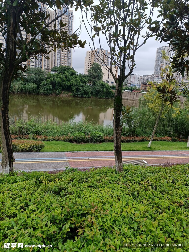 城市公園綠植景觀一角