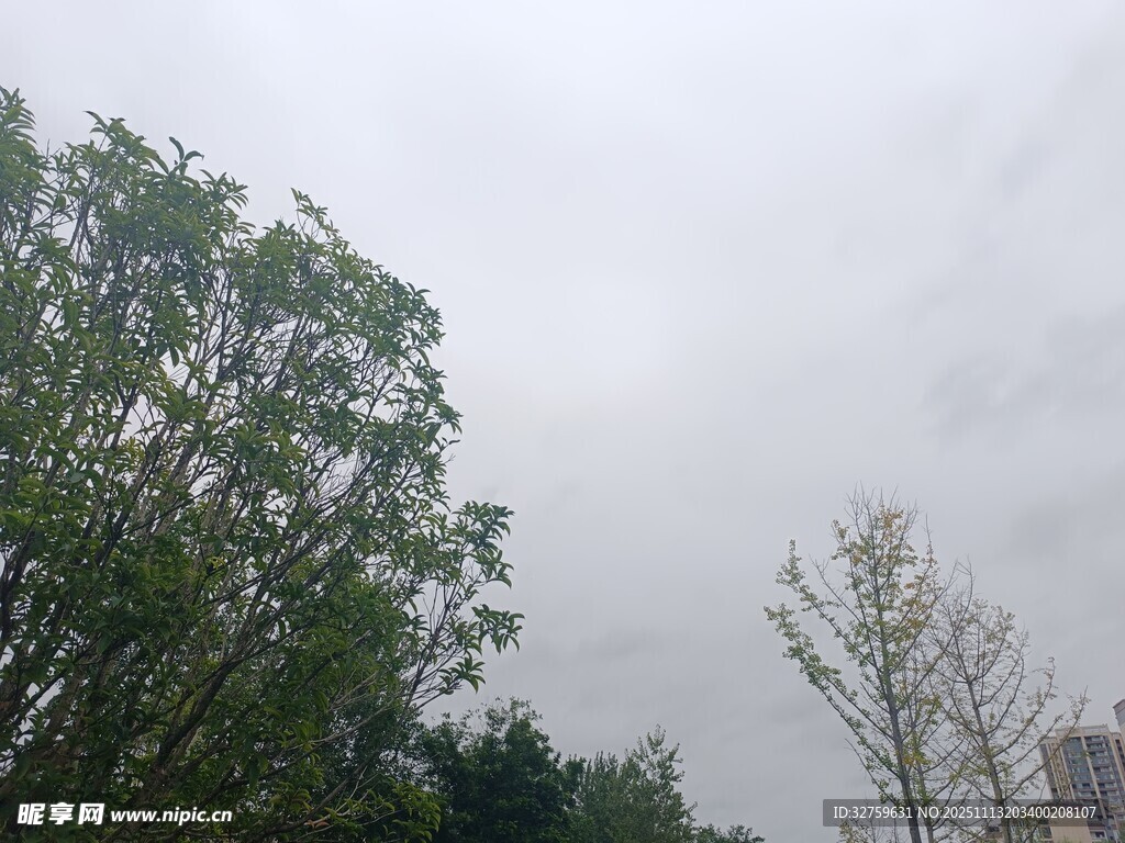 陰天中的綠樹景觀