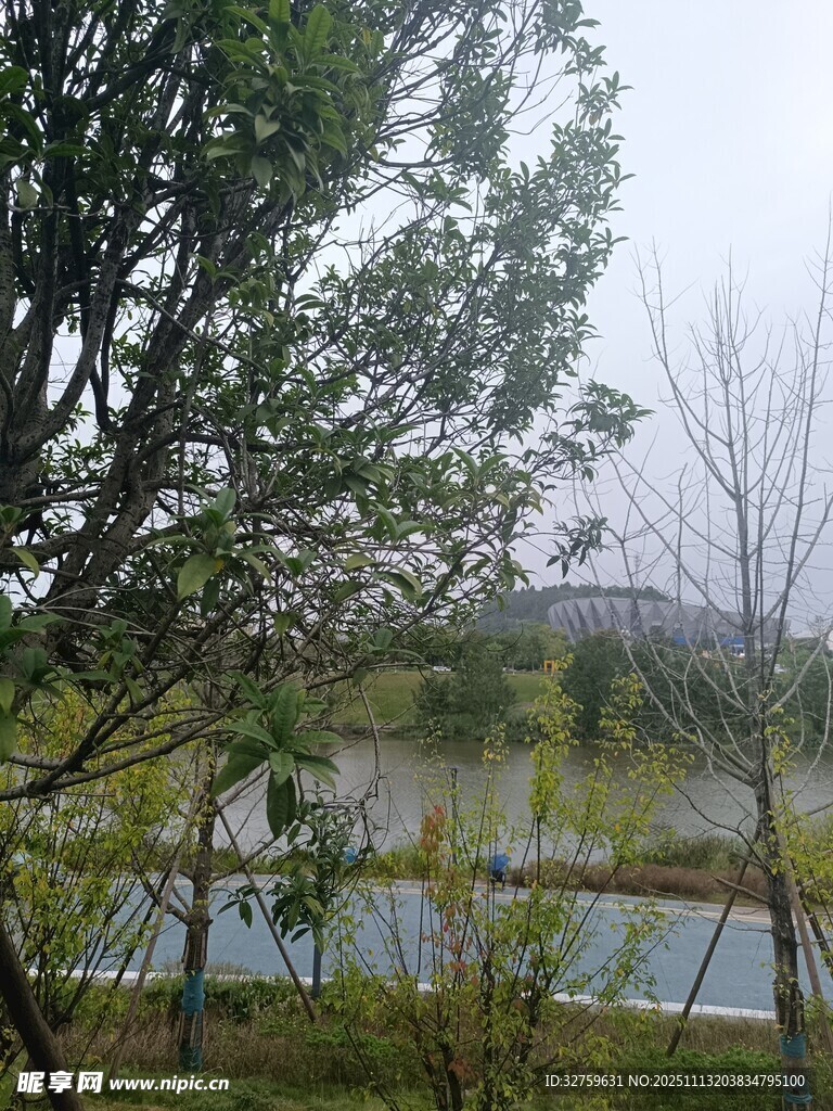 湖畔綠樹(shù)景致