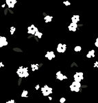 黑色底白色小花圖案
