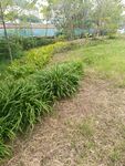 戶外綠植景觀一角