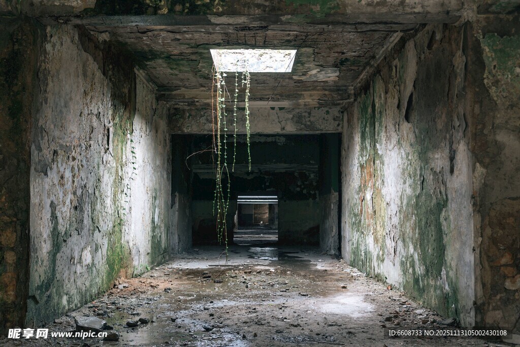 廢棄昏暗地下室場景