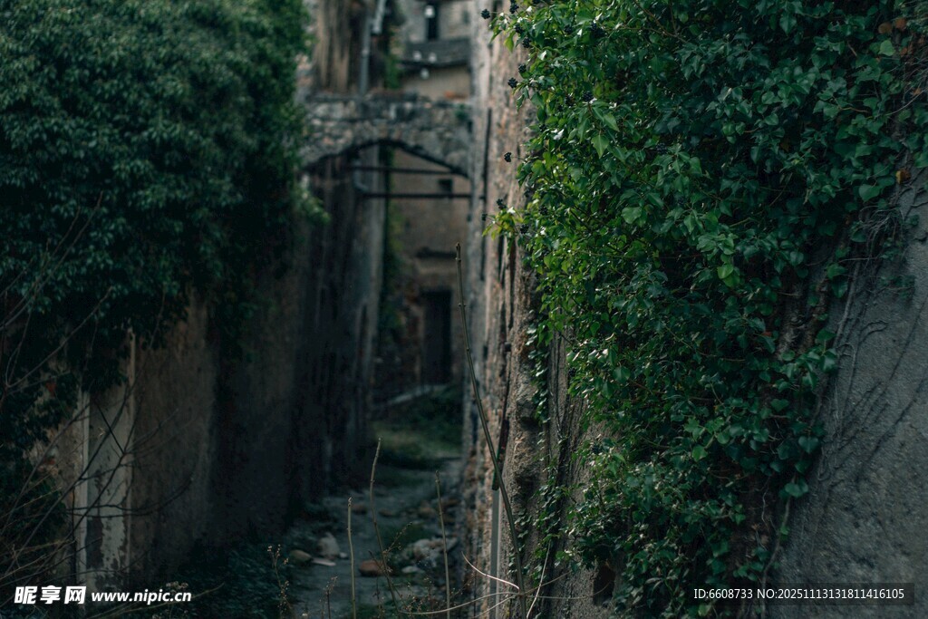 古老藤蔓纏繞的神秘建筑