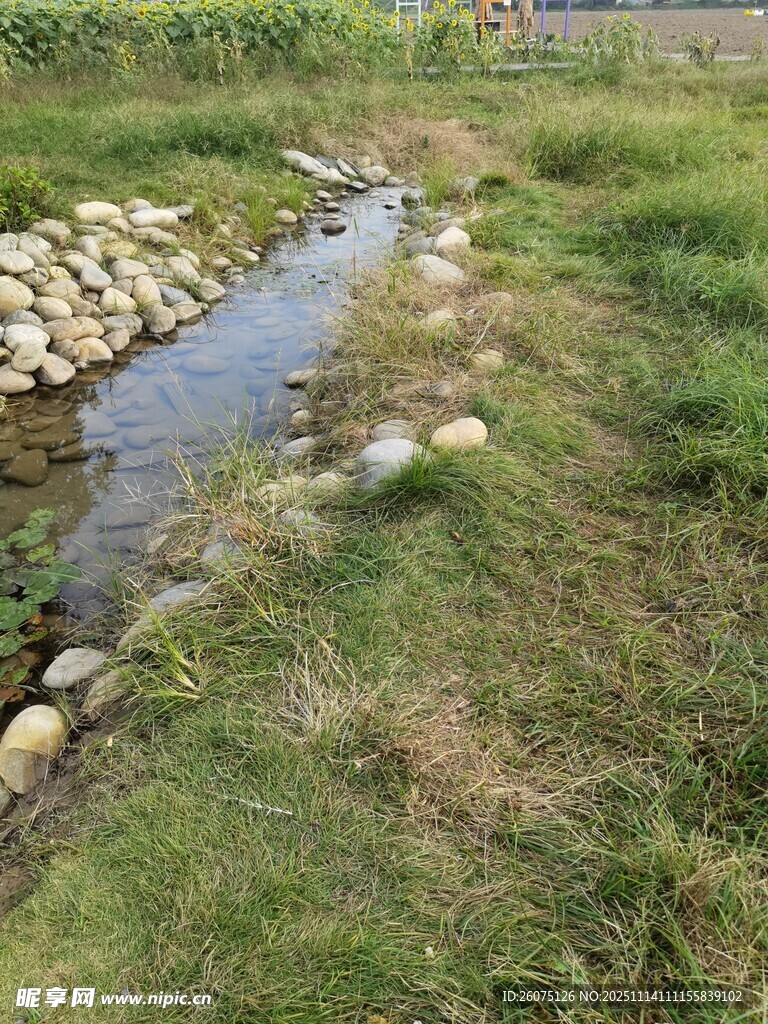 鄉(xiāng)村小溪旁的自然景致