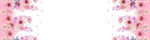 粉色花卉邊框圖案