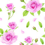 粉色玫瑰花卉圖案背景