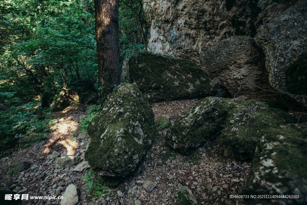 山林間的巖石與綠植