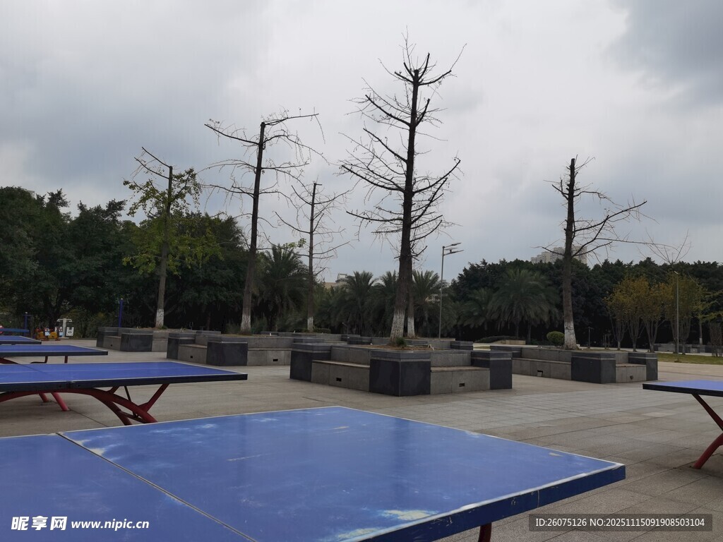戶外藍(lán)色乒乓球桌場(chǎng)景