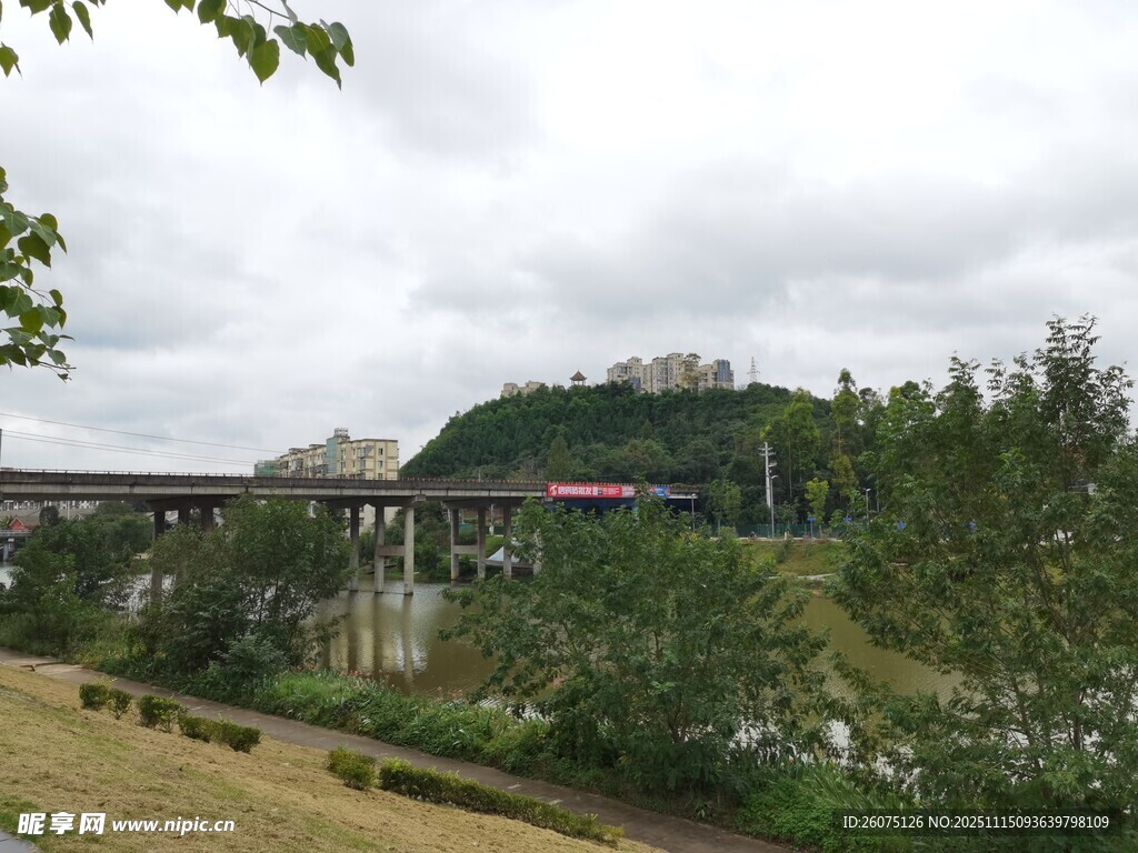 山間景致橋與綠植相映