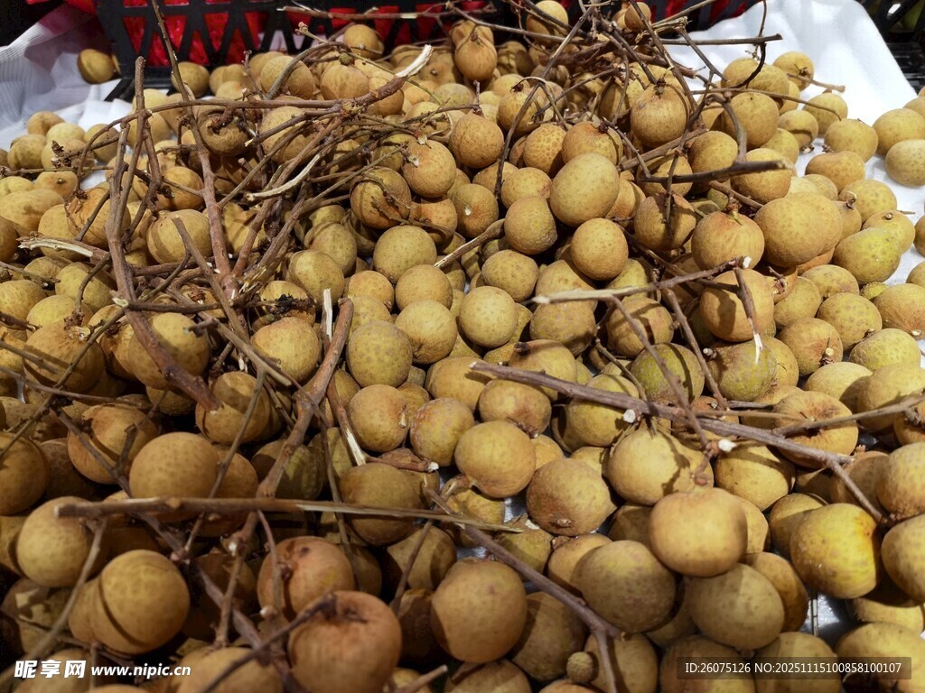 新鮮飽滿的龍眼果實(shí)