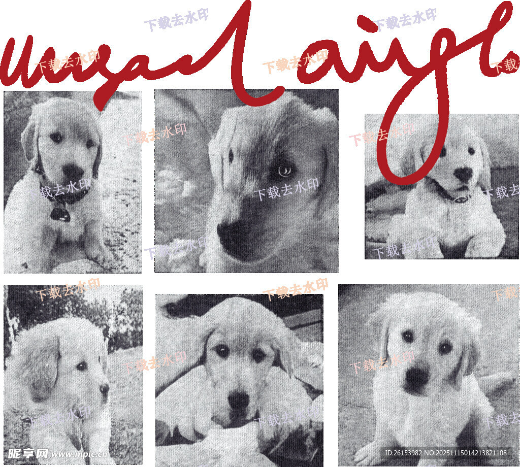 可愛萌犬合集白墨 直噴 燙畫