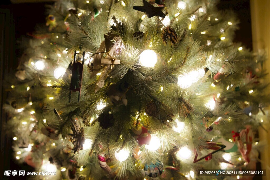 點(diǎn)亮的璀璨圣誕樹(shù)