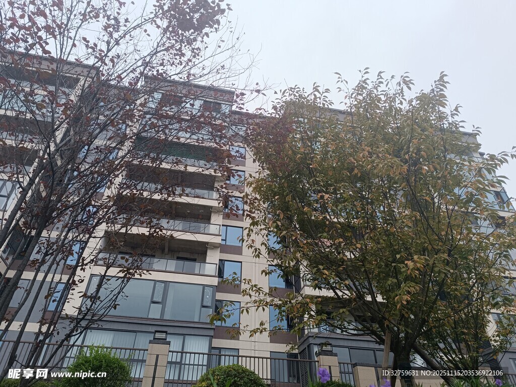 高層住宅旁的蔥郁樹木