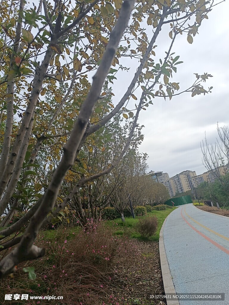 春日林間小路風(fēng)景