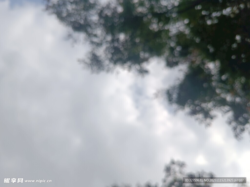 仰視天空中的樹(shù)木與云朵