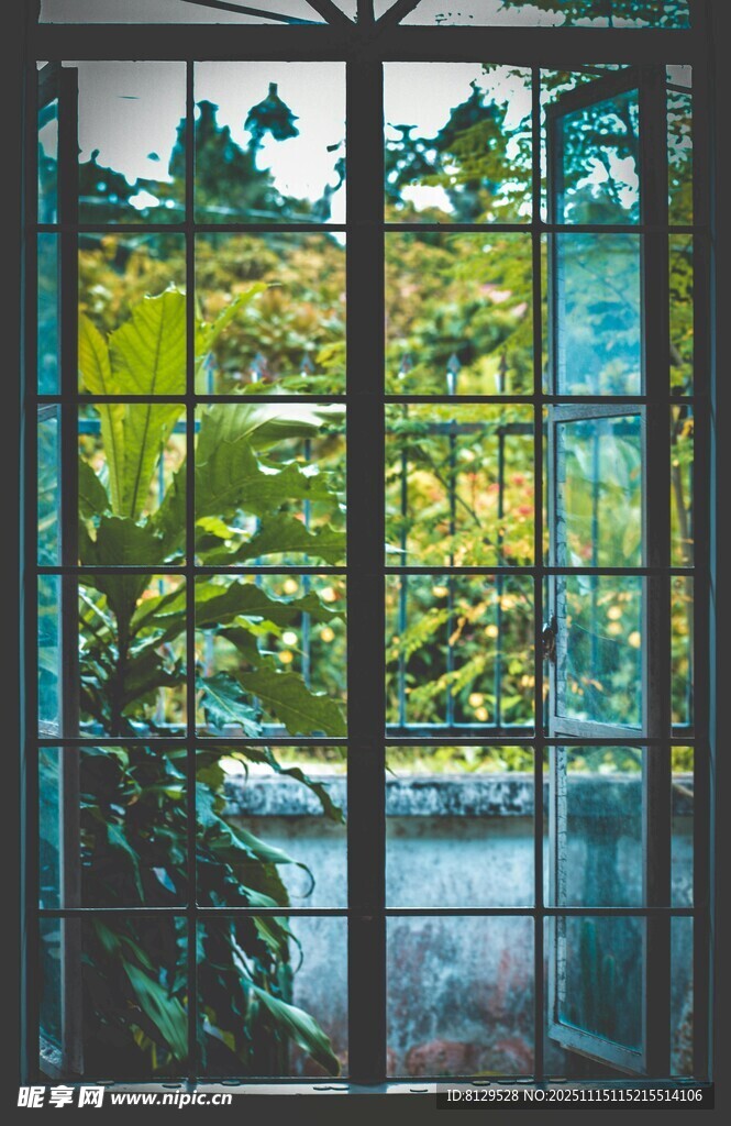 透過窗戶看綠意盎然