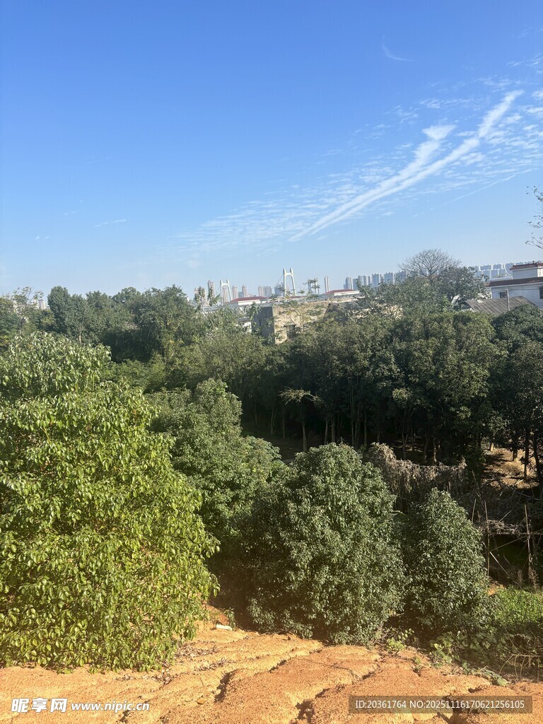 綠樹環(huán)繞的開闊風(fēng)景