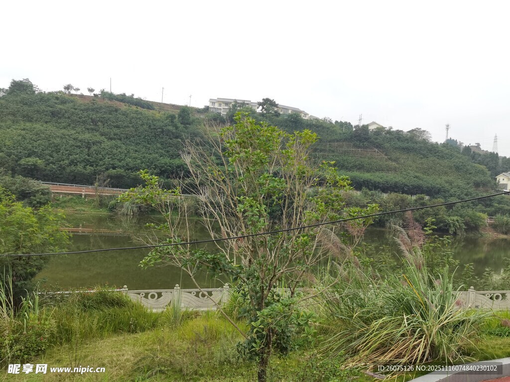湖畔綠意盎然的自然景致