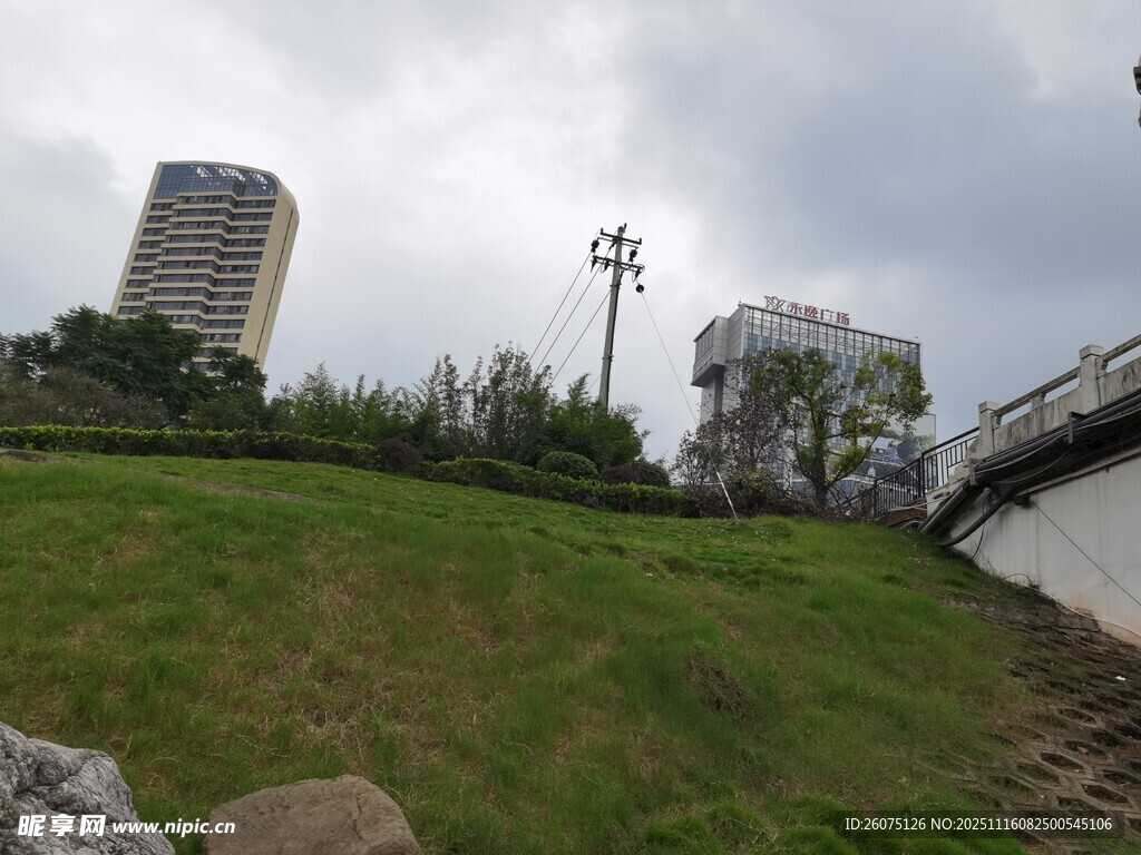 城市綠地與橋梁景觀