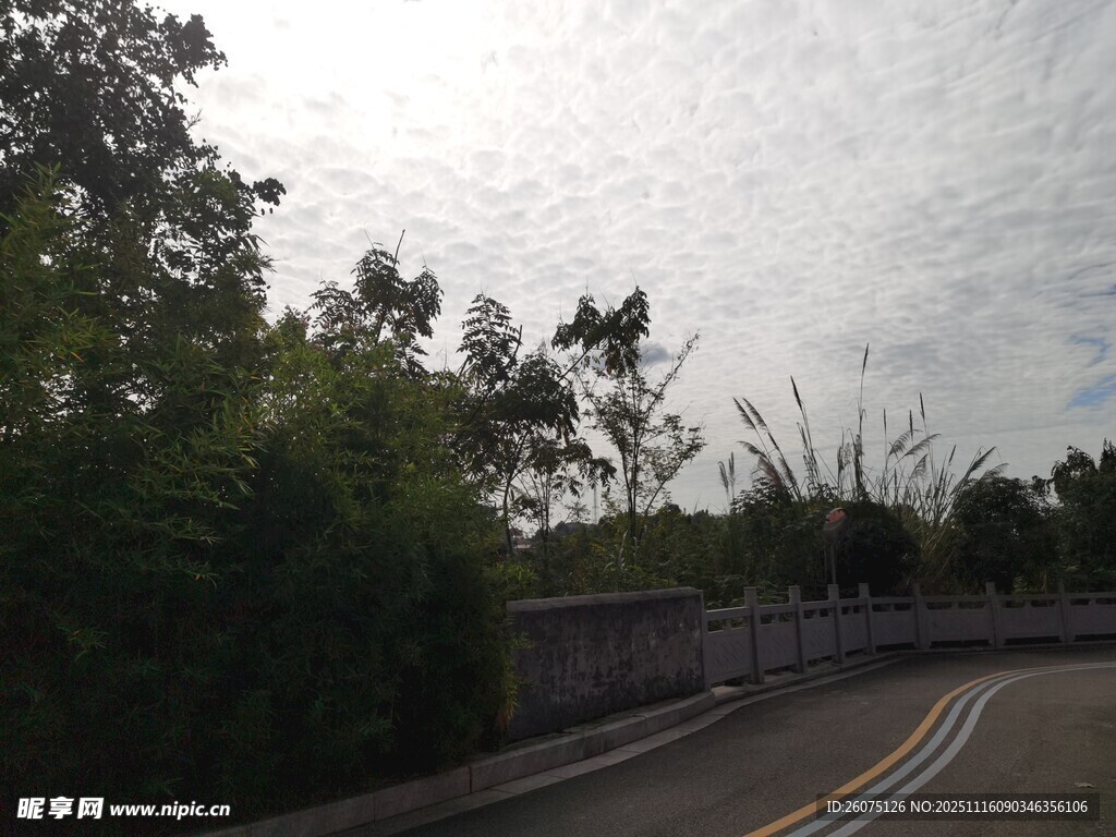 蜿蜒公路旁的蔥郁景致