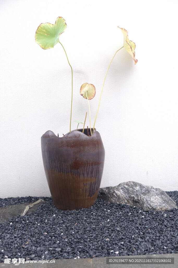 古樸陶盆中的綠植小景