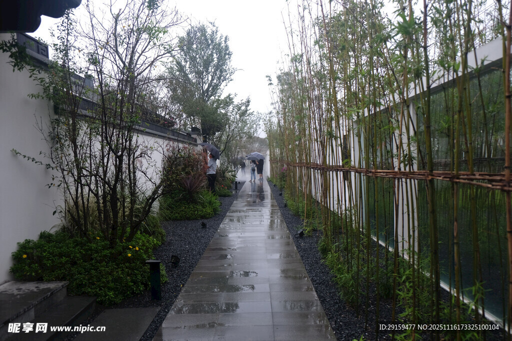 雨后靜謐的綠植小道