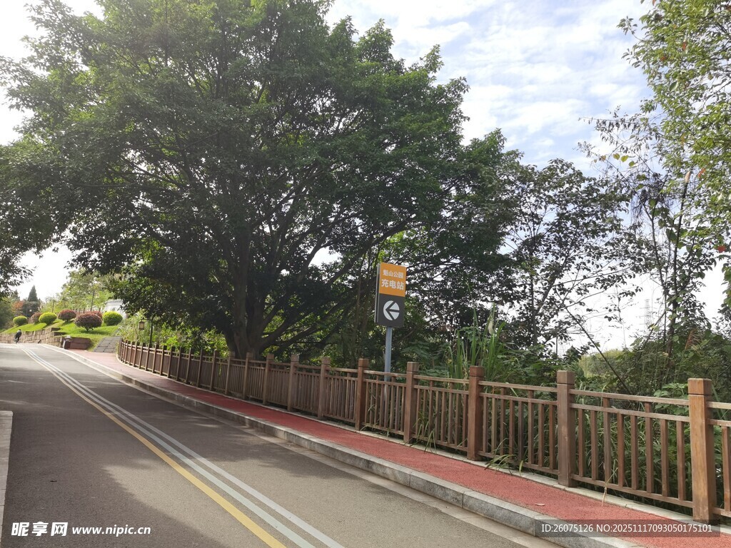 鄉(xiāng)村公路旁的綠樹與圍欄