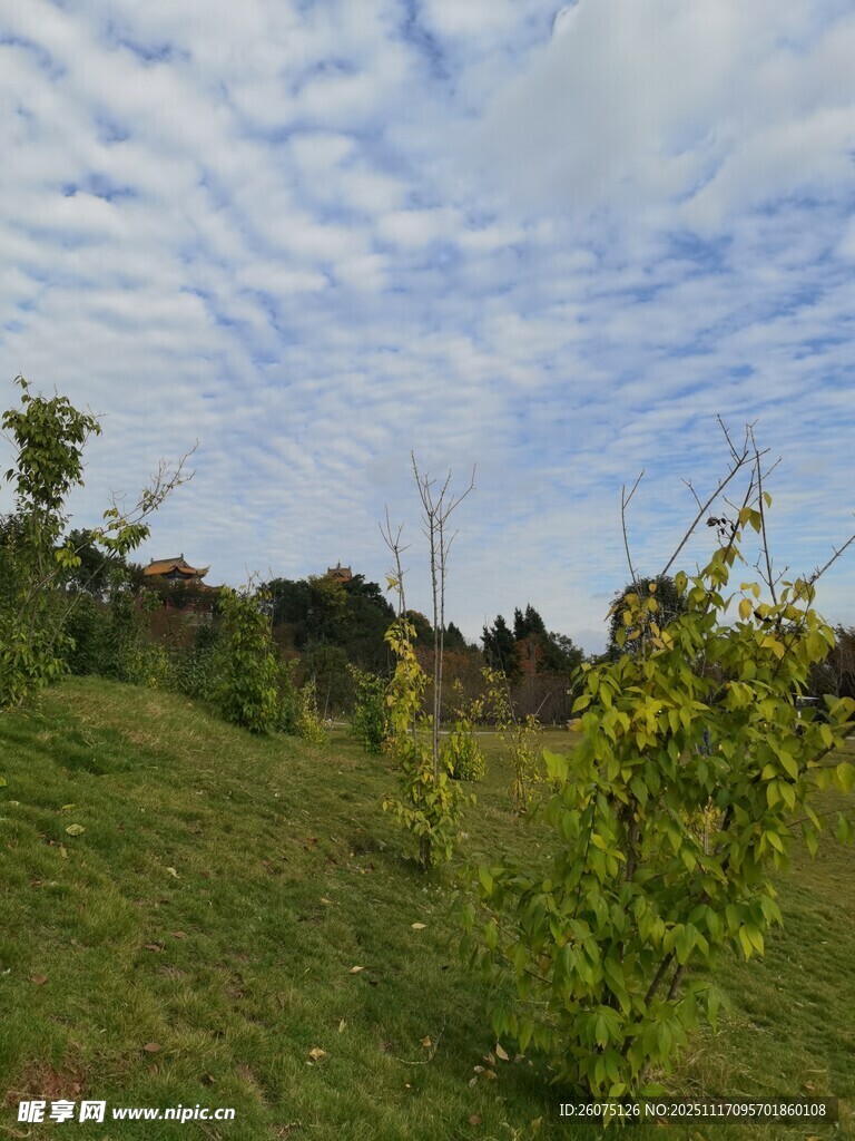 綠野藍天間的自然景致