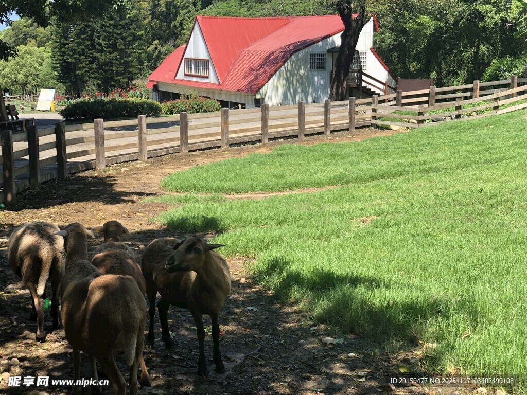 鄉(xiāng)村牧場中的馬與紅頂小屋