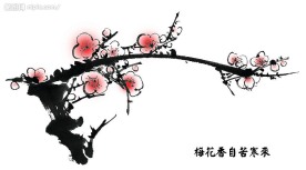 國畫梅花