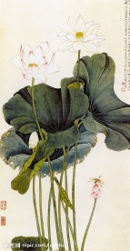 國畫 荷花 白蓮