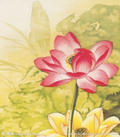 國畫荷花