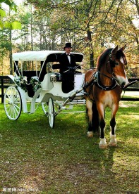 馬車