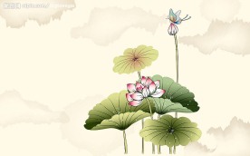 水墨國畫蓮花