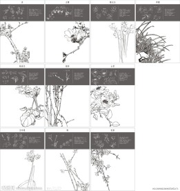 失量中國花賁國畫梅花