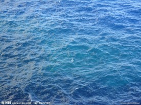 海水