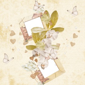 花朵蝴蝶相框相片背景设计