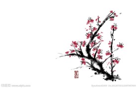 臘梅梅花國畫